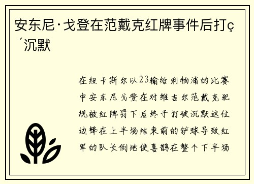 安东尼·戈登在范戴克红牌事件后打破沉默